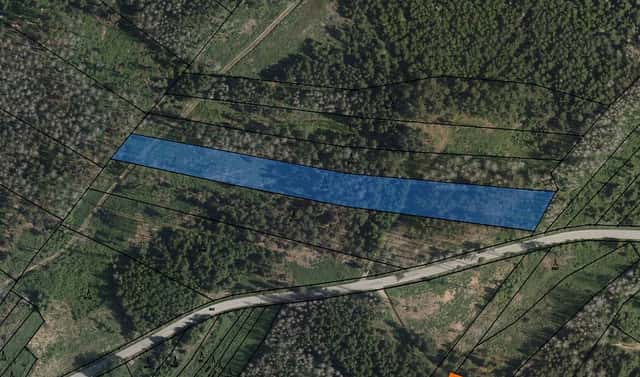 Prodej lesa 9 117 m², Krasonice, okres Jihlava