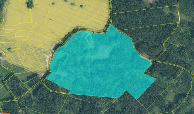 Prodej lesa 154 293 m², Milevsko – Klisín, okres Písek