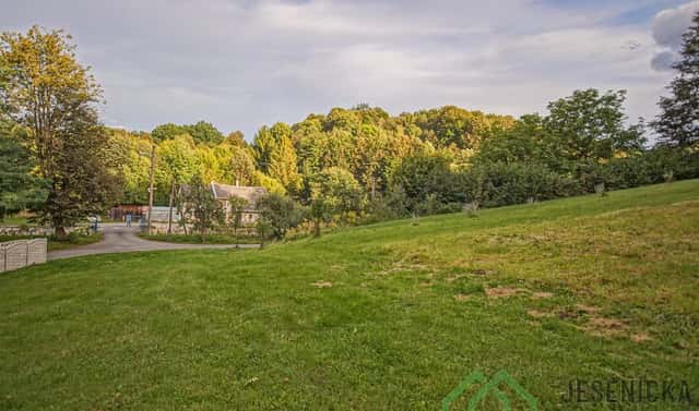 Prodej stavebního pozemku 2 119 m², Žulová, okres Jeseník