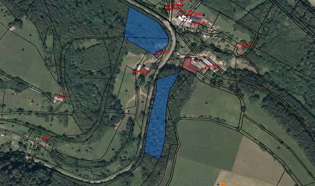 Prodej lesa 164 m², Cotkytle, okres Ústí nad Orlicí