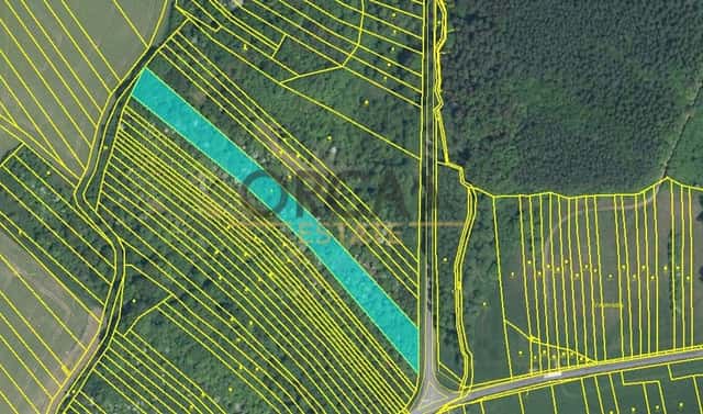 Prodej pole 17 736 m², Březolupy, okres Uherské Hradiště