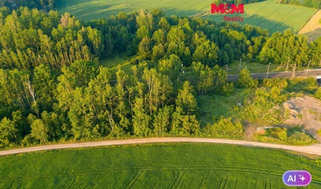 Prodej louky 4 637 m², Rudoltice, okres Ústí nad Orlicí