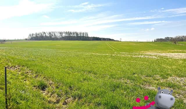 Prodej stavebního pozemku 934 m², Luká – Ješov, okres Olomouc