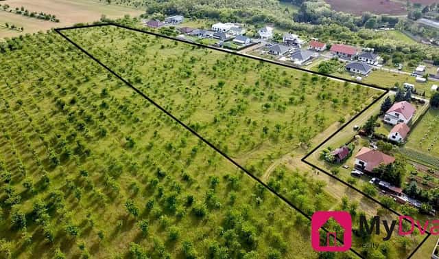 Prodej pole 60 000 m², Mikulovice, okres Znojmo