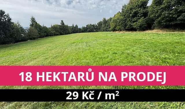 Prodej louky 176 908 m², Stráž nad Ohří – Srní, okres Karlovy Vary