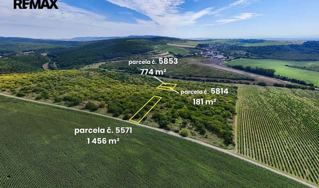 Prodej pole 5 542 m², Lovčice, okres Hodonín