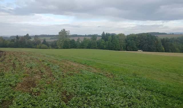 Prodej louky 15 200 m², Nekoř, okres Ústí nad Orlicí