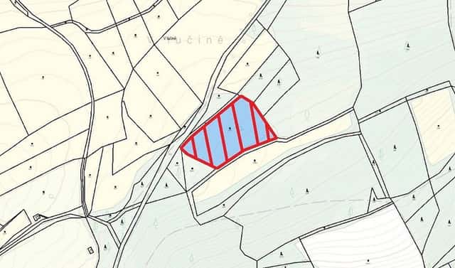 Prodej zahrady 6 582 m², Hrádek – Zbynice, okres Klatovy