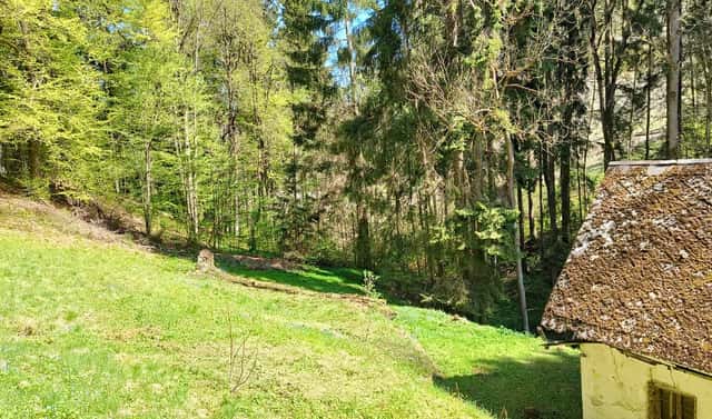 Prodej stavebního pozemku 3 282 m², Koberovy – Chloudov, okres Jablonec nad Nisou