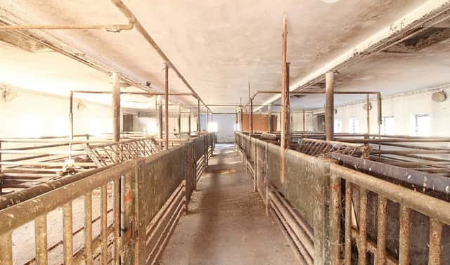 Pronájem skladovacích prostor 400 m², Brno, okres Brno-město