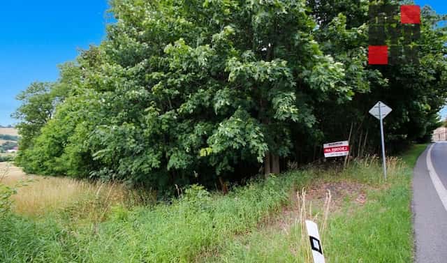 Prodej stavebního pozemku 5 471 m², Jiřetín pod Jedlovou, okres Děčín