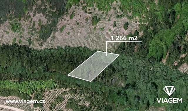 Prodej lesa 844 m², Řendějov, okres Kutná Hora
