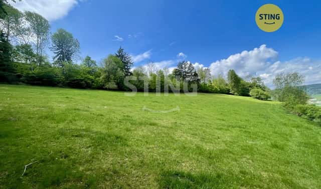 Prodej lesa 16 440 m², Městečko Trnávka – Pěčíkov, okres Svitavy