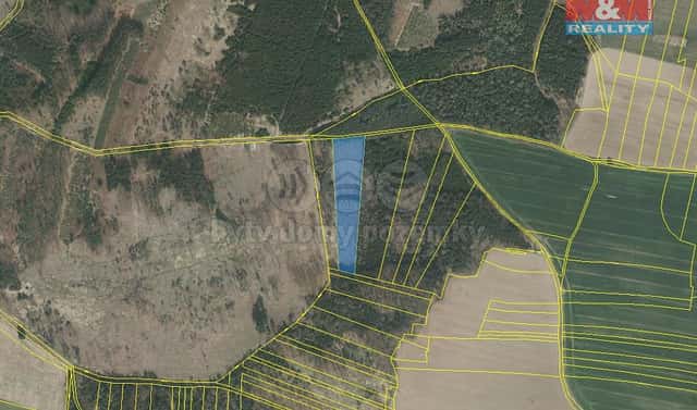 Prodej lesa 8 547 m², Stehlovice, okres Písek