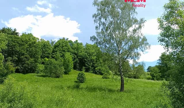 Prodej stavebního pozemku 3 276 m², Božanov, okres Náchod