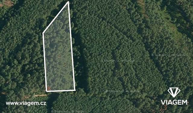 Prodej lesa 1 755 m², Vlastiboř, okres Tábor