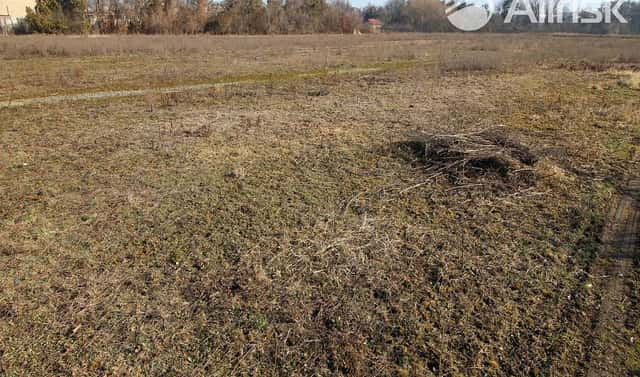 Pronájem pole 3 000 m², Brno, okres Brno-město