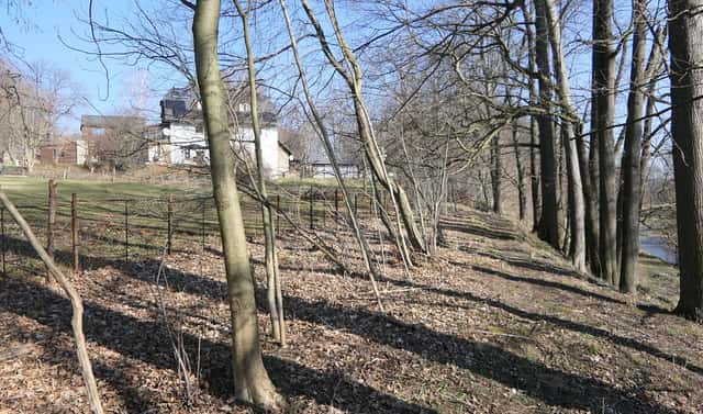 Prodej lesa 656 m², Raspenava, okres Liberec