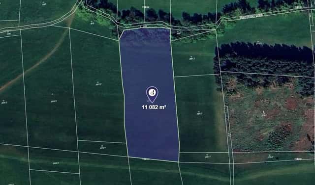 Prodej louky 11 082 m², Čistá u Horek, okres Semily