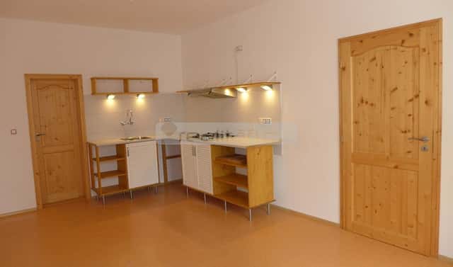Prodej bytu 2+kk 55 m², Guldenerova, Plzeň – Východní Předměstí, okres Plzeň-město