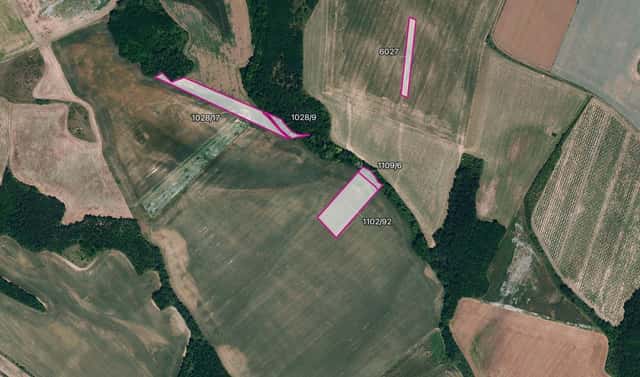 Prodej pole 6 896 m², Džbánice, okres Znojmo