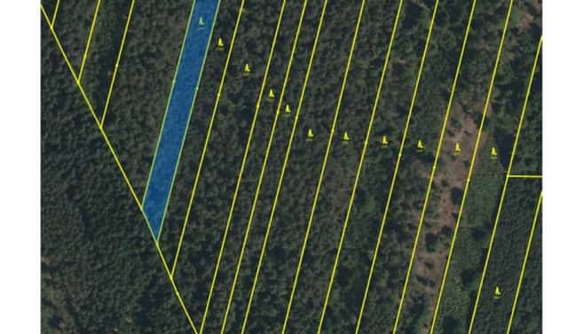 Prodej lesa 32 388 m², Třeboň – Břilice, okres Jindřichův Hradec