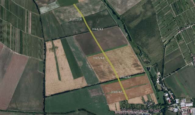 Prodej pole 11 877 m², Prušánky, okres Hodonín