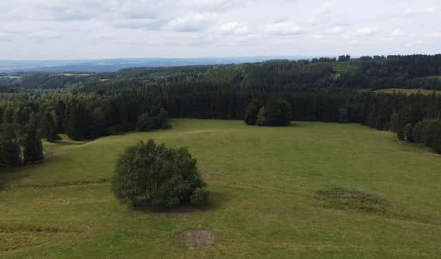 Prodej pole 6 044 m², Březová, okres Sokolov