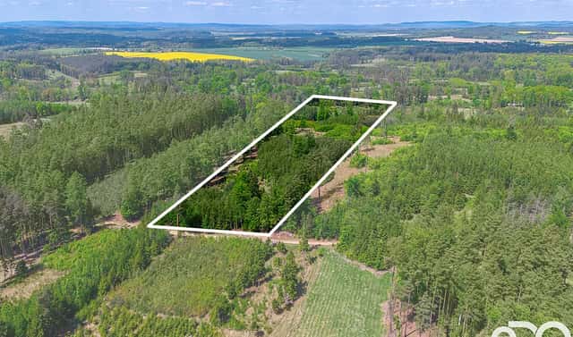 Prodej lesa 79 500 m², Jetětice, okres Písek