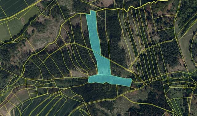 Prodej lesa 19 133 m², Koberovice – Lohenice, okres Pelhřimov