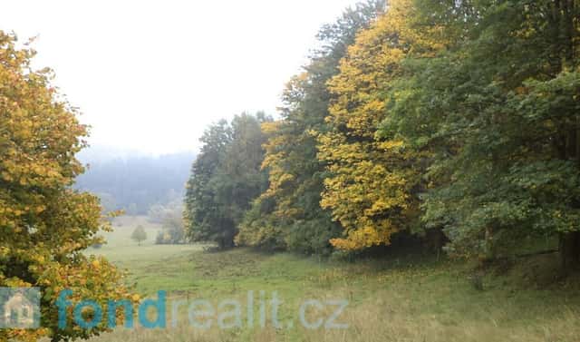 Prodej pole 35 381 m², Přimda, okres Tachov