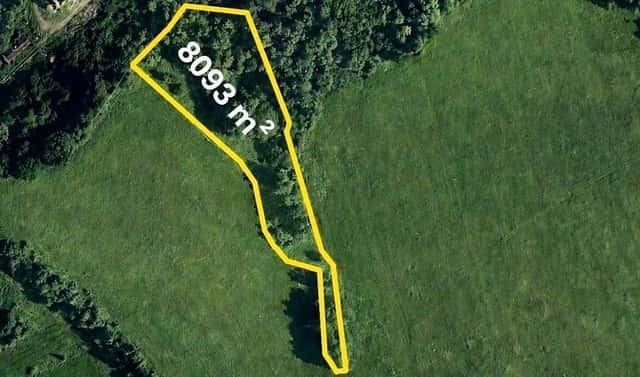 Prodej louky 8 093 m², Heřmanice, okres Liberec