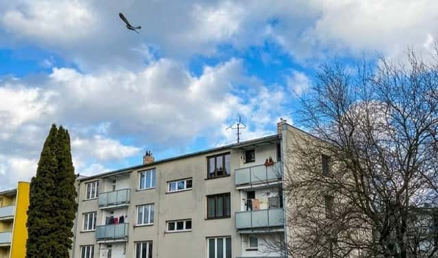 Prodej bytu 2+1 54 m², Trhové Sviny, okres České Budějovice
