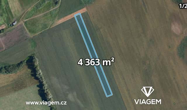 Prodej pole 1 703 m², Podivín, okres Břeclav