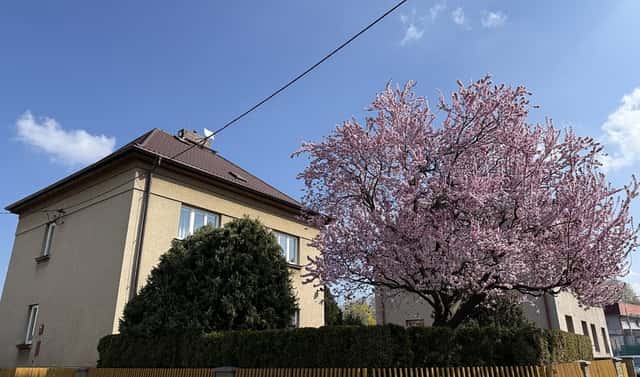 Prodej domu 429 m² s pozemkem 365 m², U Jezu, Ostrava – Muglinov, okres Ostrava-město