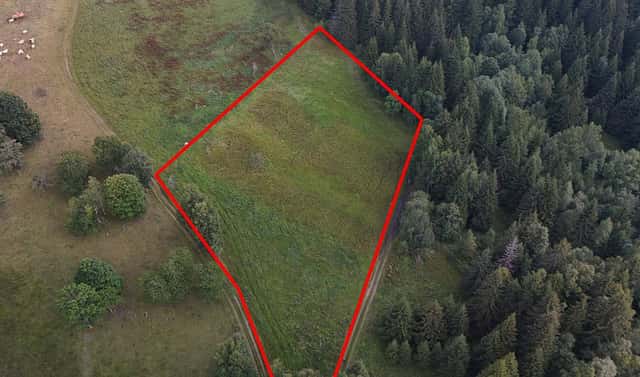 Prodej zahrady 8 891 m², Borová Lada – Černá Lada, okres Prachatice