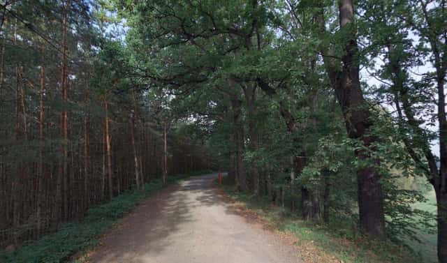 Prodej lesa 27 344 m², Stráž nad Nežárkou, okres Jindřichův Hradec