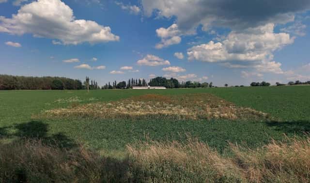 Prodej zahrady 1 434 m², Řepeč – Kášovice, okres Tábor