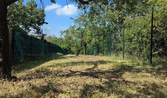 Prodej zahrady 319 m², Brno – Brněnské Ivanovice, okres Brno-město