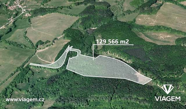 Prodej lesa 647 m², Bojkovice, okres Uherské Hradiště