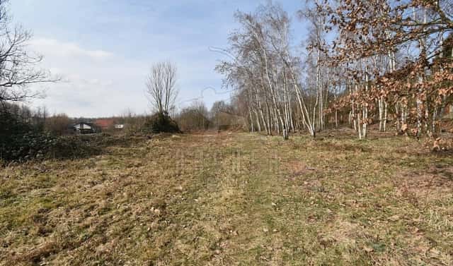 Prodej stavebního pozemku 6 184 m², Dubí – Drahůnky, okres Teplice