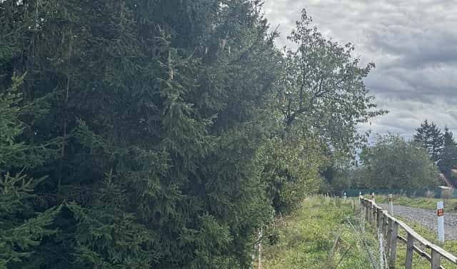 Prodej pozemku 10 821 m², Velké Svatoňovice – Druztová, okres Trutnov