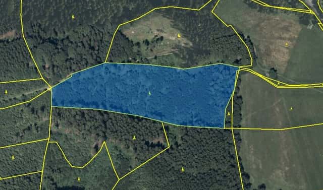 Pronájem pole 23 172 m², Dlouhá Třebová, okres Ústí nad Orlicí
