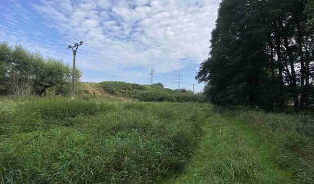 Prodej pole 2 776 m², Tachov