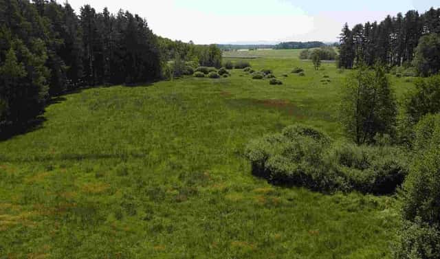 Prodej pozemku 20 535 m², Jílovice, okres České Budějovice