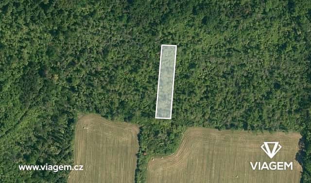 Prodej lesa 3 778 m², Dobrovice, okres Mladá Boleslav