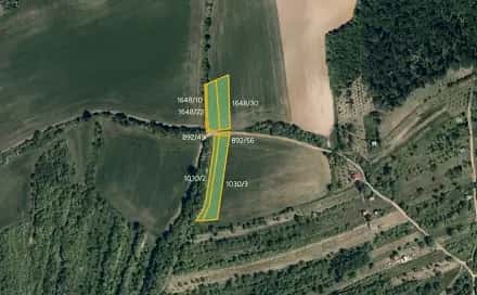 Prodej pole 14 142 m², Kyjov – Bohuslavice, okres Hodonín