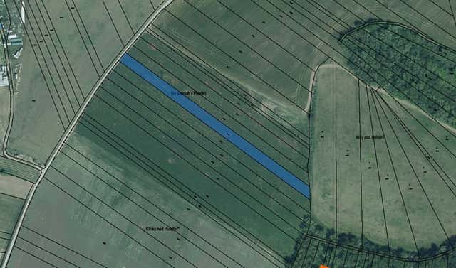 Prodej pole 177 m², Diváky, okres Břeclav