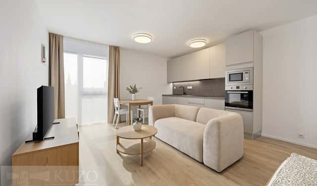 Pronájem bytu 1+kk 38 m², Auerswaldova, Brno – Zábrdovice, okres Brno-město