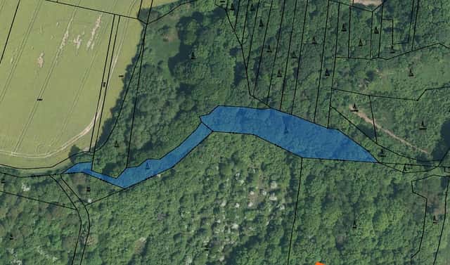 Prodej lesa 69 m², Lhota, okres Zlín